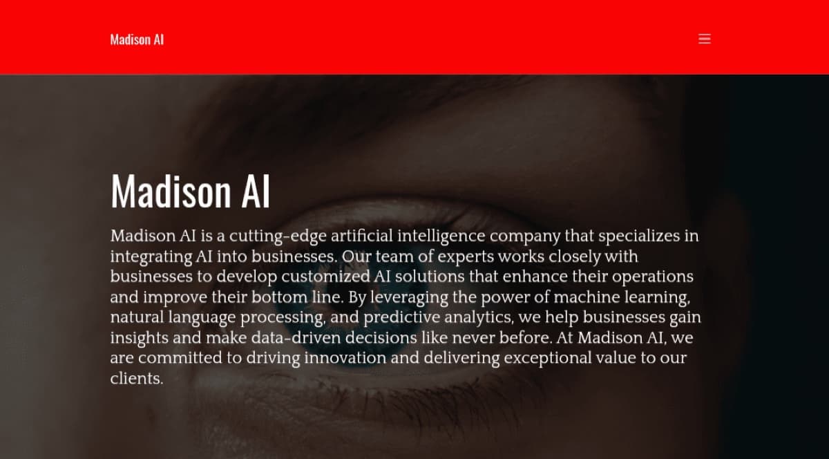 Madison AI